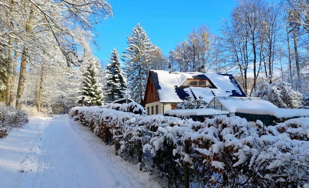 Ferienhaus Jaegerhaus Oppach Privathaus Exterior foto
