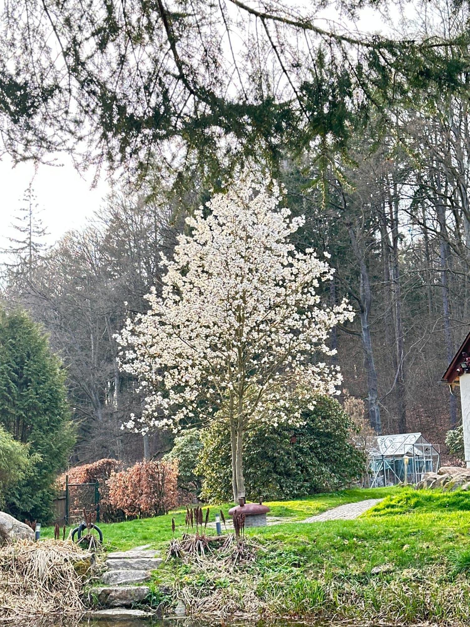 Ferienhaus Jaegerhaus Oppach Privathaus Exterior foto